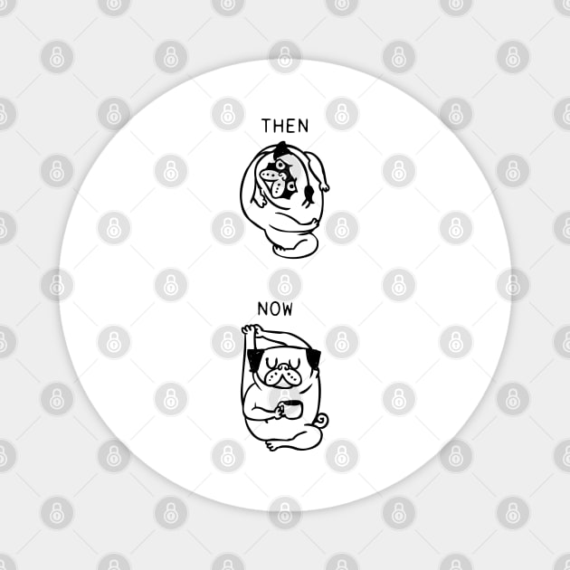 Then and Now Pug Compass Pose Magnet by huebucket